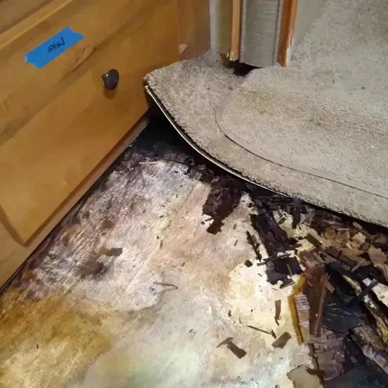 Wood Floor Water Damage in Castle Rock, CO